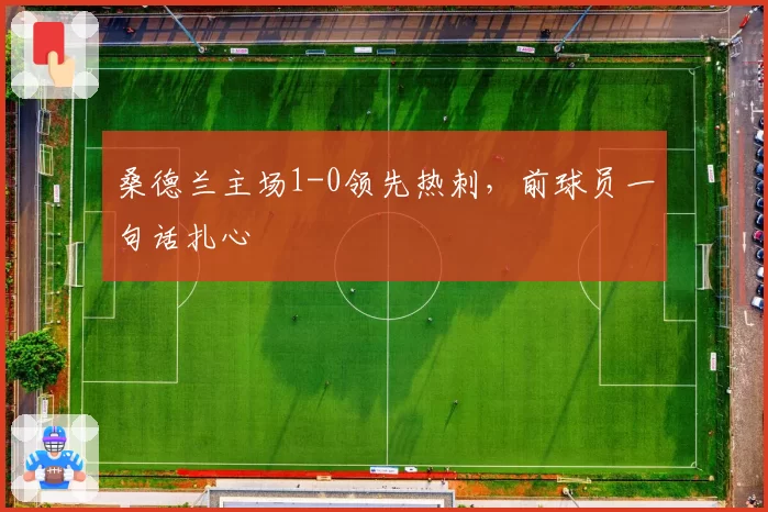 桑德兰主场1-0领先热刺,前球员一句话扎心