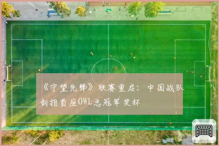 《守望先锋》联赛重启：中国战队剑指首座OWL总冠军奖杯