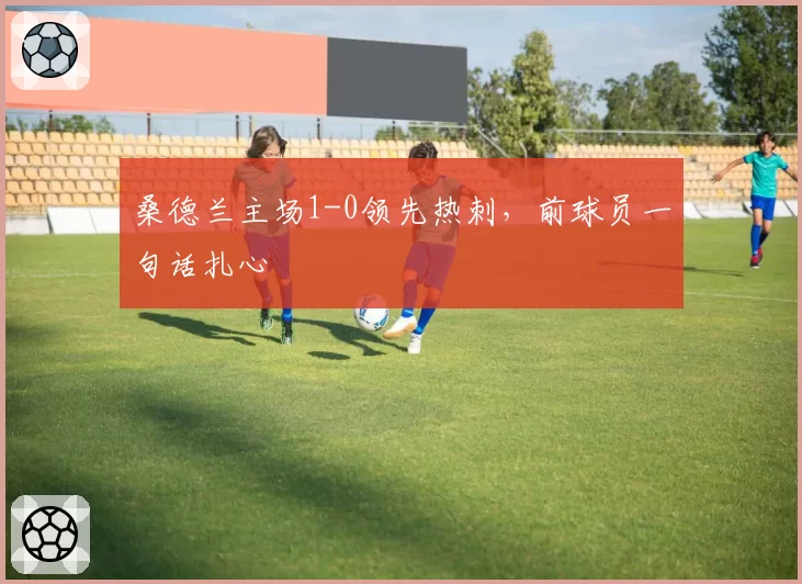 桑德兰主场1-0领先热刺,前球员一句话扎心