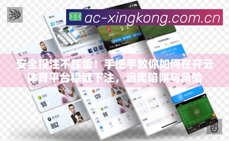 安全使用与支持流程