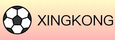 XINGKONG Logo
